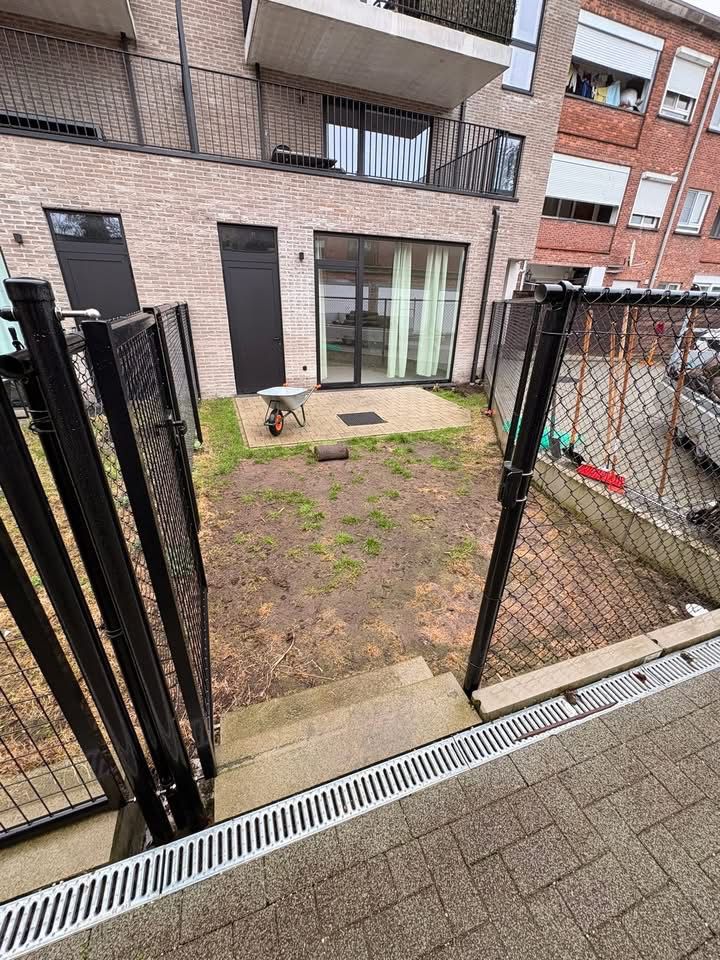 tuin boom 1