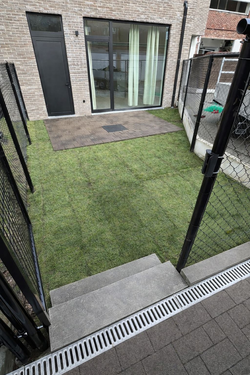 tuin boom 2